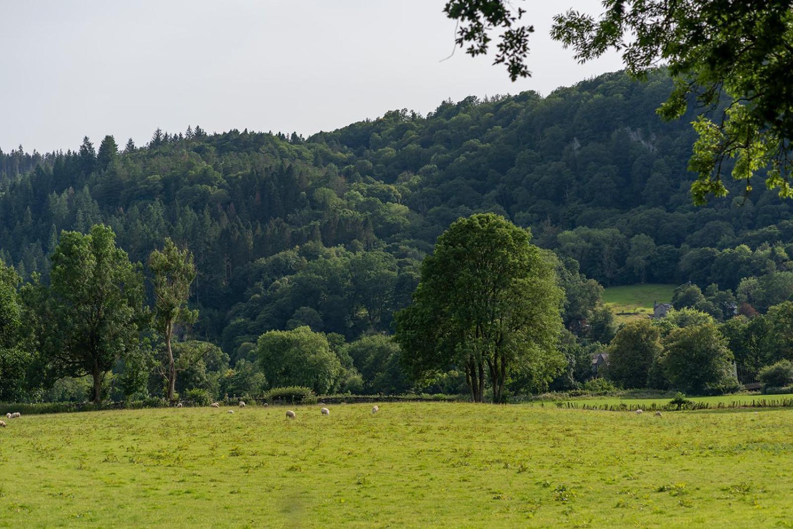 Glanrhyd cottage Betws-y-Coed Exteriör bild